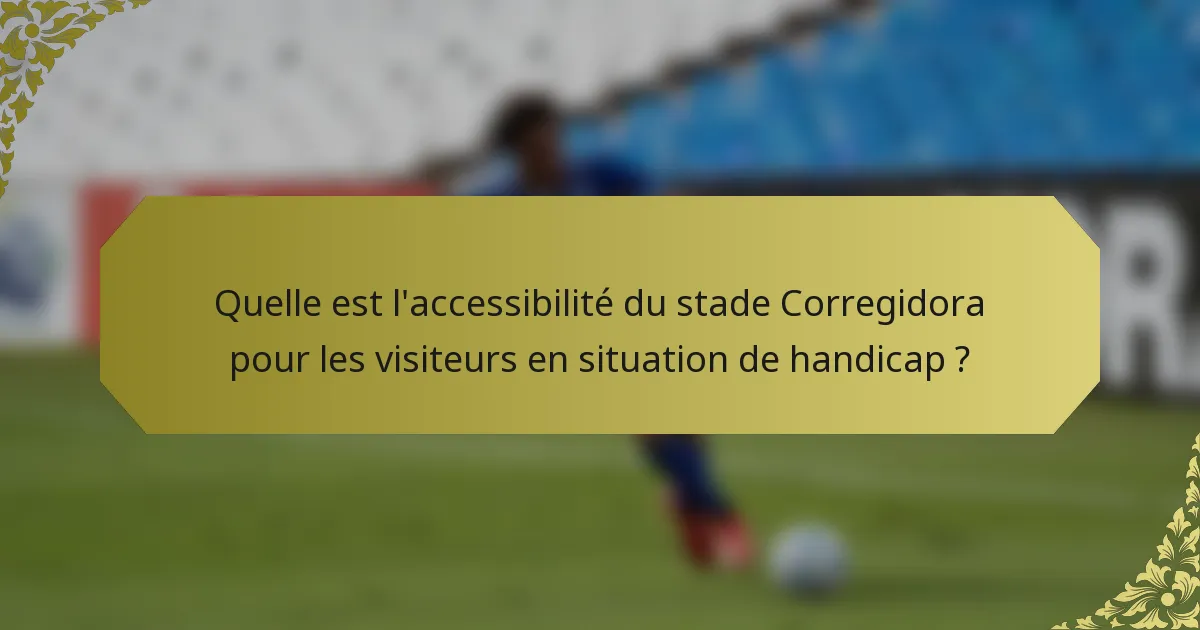 Quelle est l'accessibilité du stade Corregidora pour les visiteurs en situation de handicap ?