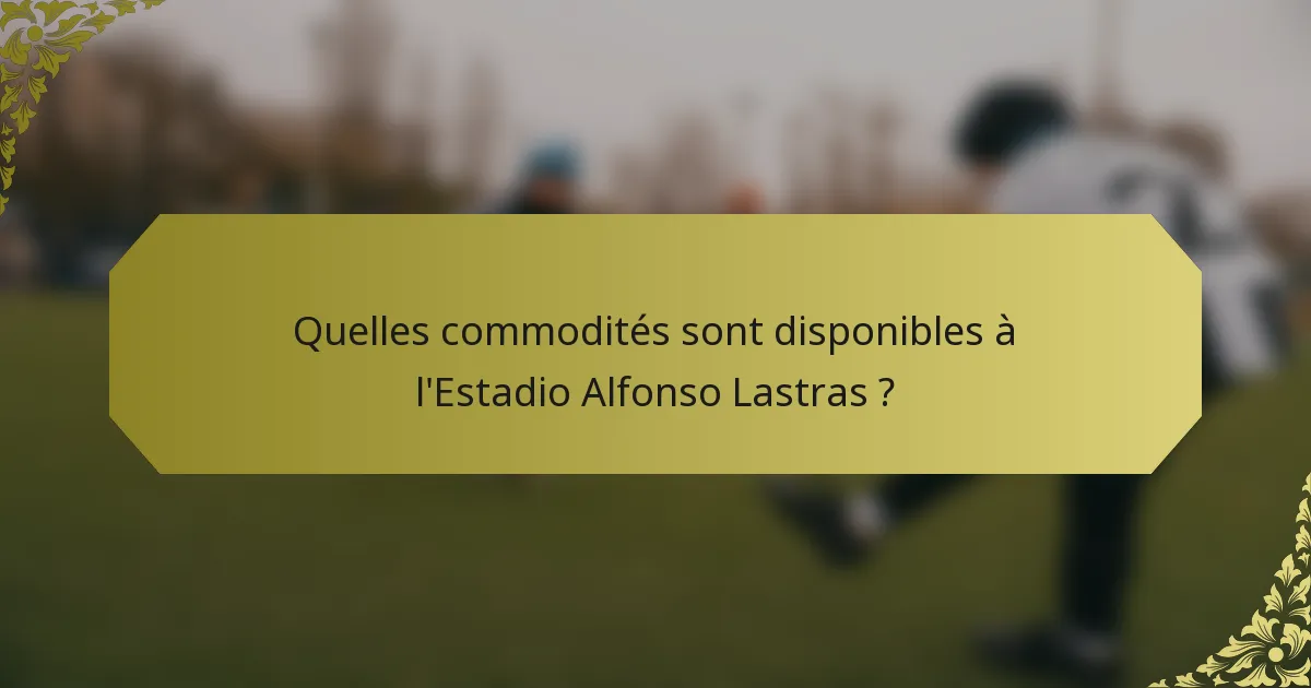Quelles commodités sont disponibles à l'Estadio Alfonso Lastras ?