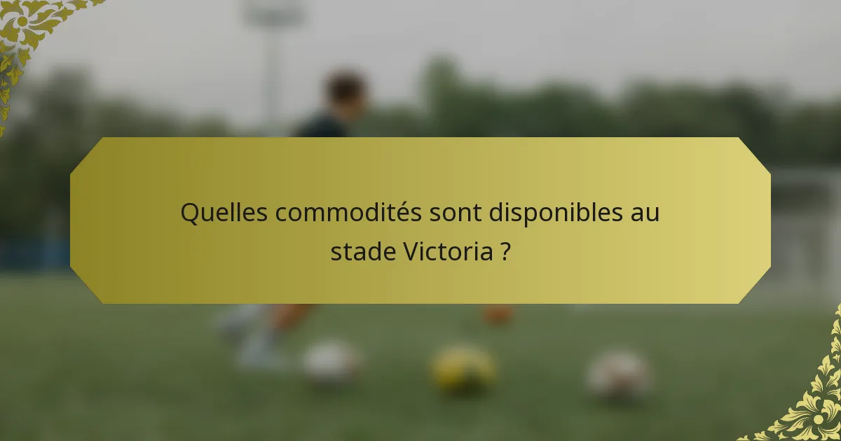 Quelles commodités sont disponibles au stade Victoria ?