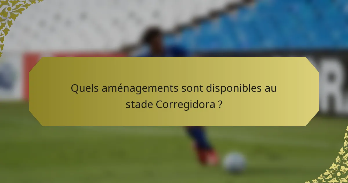 Quels aménagements sont disponibles au stade Corregidora ?